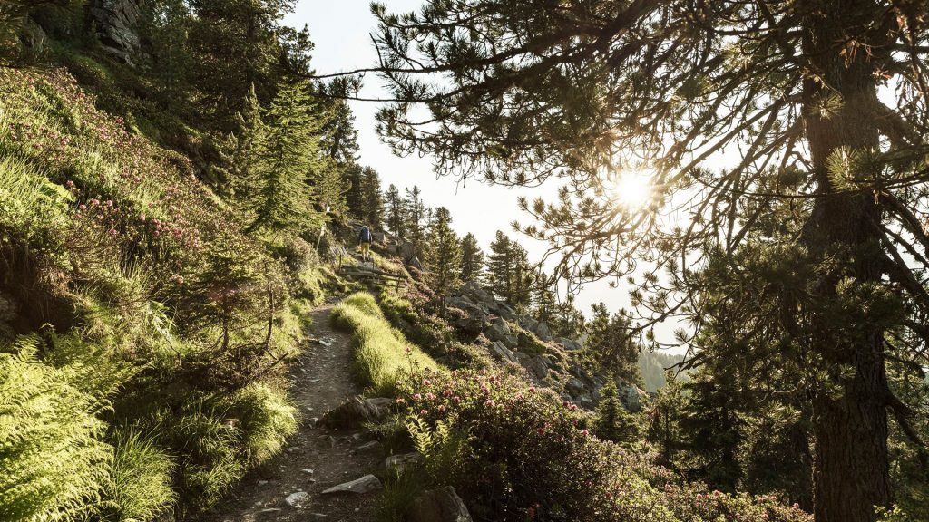 Tulfes, Inntaler Höhenweg, Zirbenweg