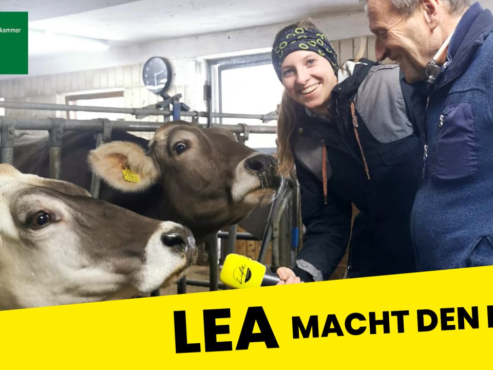 Lea macht den Hof