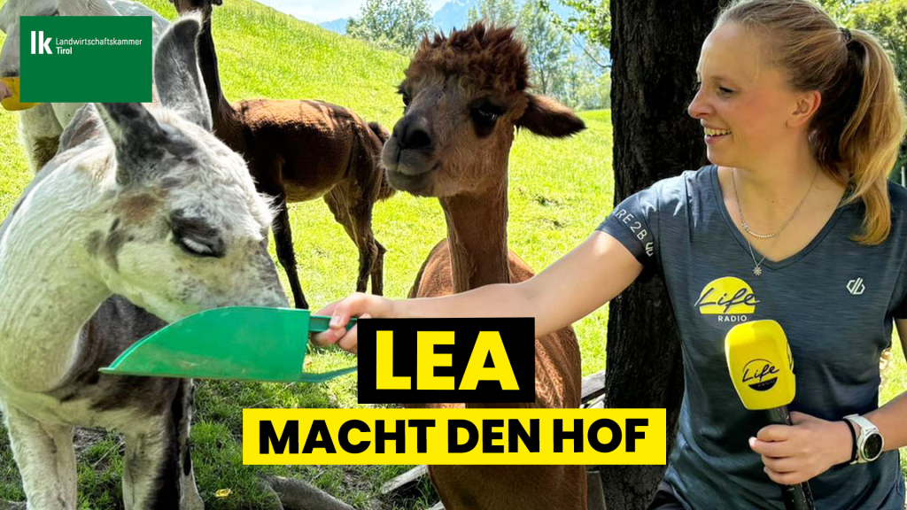 1920x1080 px_Lea macht den Hof NEU