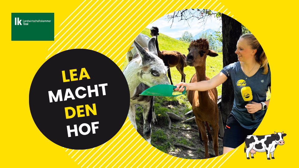 Lea macht den Hof