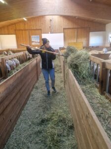 Lea macht den Hof - 23.12. Fam. Jaufenthaler Mutters (6)