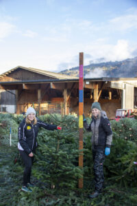 Tiroler Christbäume (2)