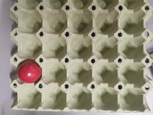 Plastikfasten_1 (9)