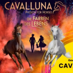 Gewinne Tickets