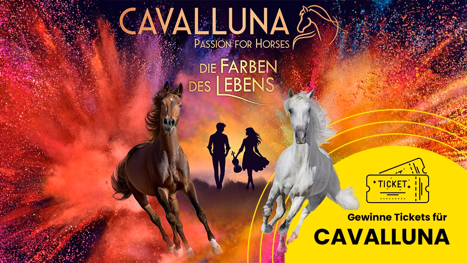 Gewinne Tickets